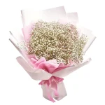 Букет из 11 гипсофил