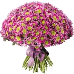 Хризантемы кустовые фиолетовые